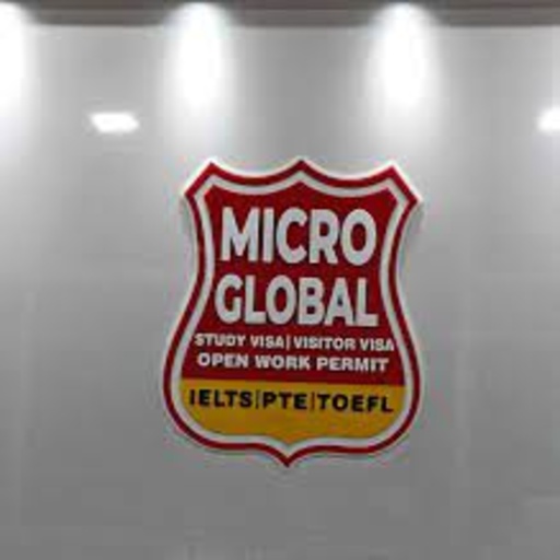 Micro Global